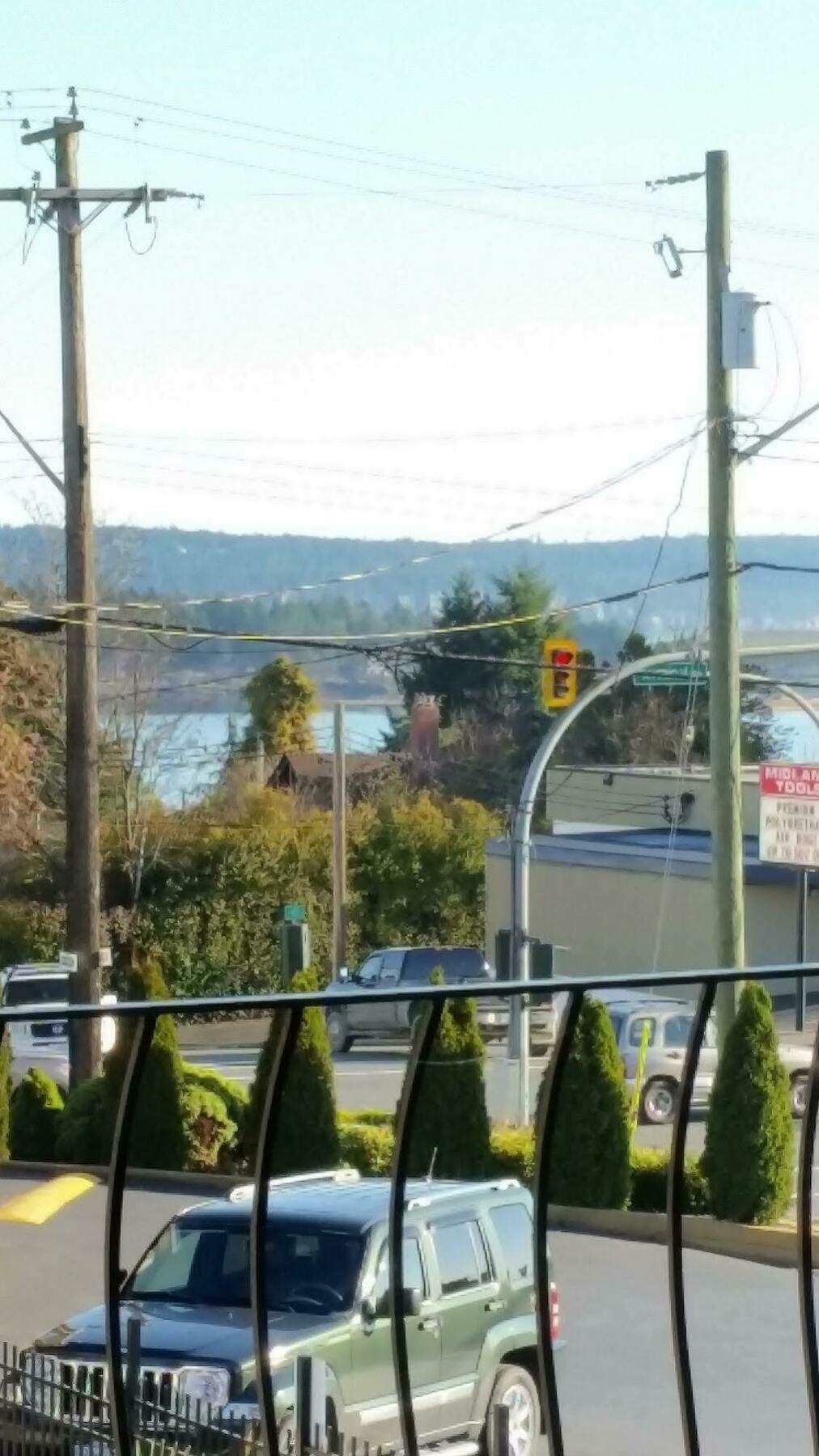 Port-O-Call Inn Nanaimo Exterior photo